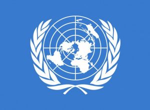 Birleşmiş Milletler (BM)