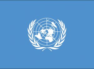 Birleşmiş Milletler (BM) Nedir?