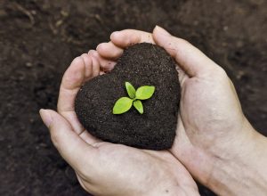 Organik Tarım Nedir?