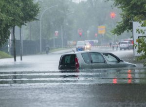 Sel Nedir, Nasıl Oluşur?
