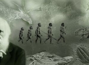 Charles Darwin'in Evrim Hakkındaki Görüşleri