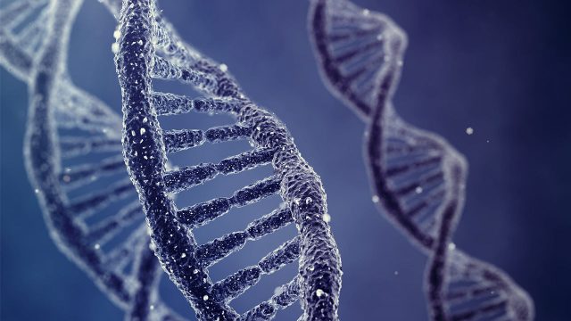 DNA'nın Yapısı Nasıldır, Özellikleri Nelerdir?