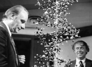 DNA'nın Yapısına İlişkin Araştırmalar