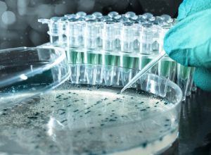 Gen Klonlaması Nedir, Aşamaları Nelerdir?