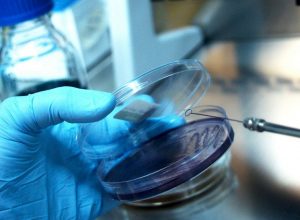 Hayatın Başlangıcına İlişkin Görüşler: Abiyogenez ve Biyogenez