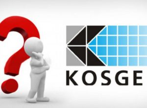 KOSGEB Nedir, Ne İşe Yarar, Destek Türleri Nelerdir?