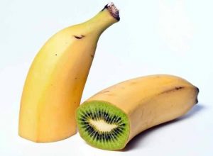 Melezleme Nedir, Nasıl Yapılır?