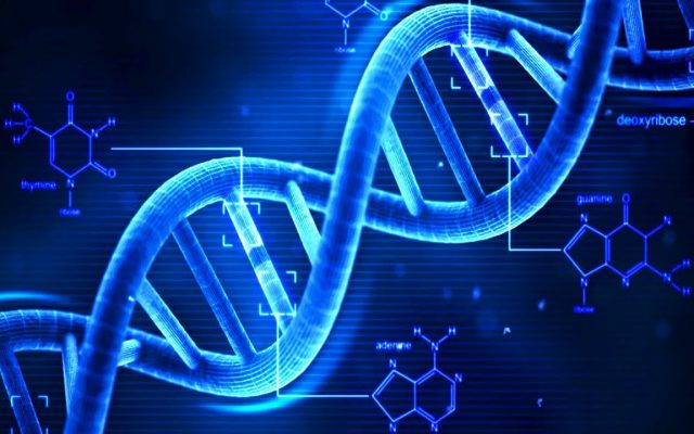 Soyu Tükenmiş DNA Yeniden Canlanıyor