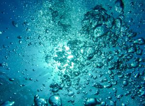 Suyun Canlılar İçin Önemi