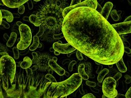 Bakteri Nedir, Yapısı Nasıldır, Çeşitleri Nelerdir?