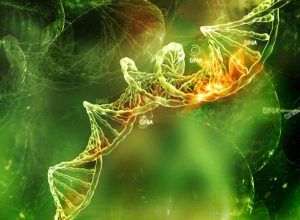 Biyolojiye Katkı Sağlayan Önemli Bilim İnsanları ve Çalışma Alanları