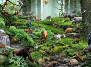 Canlıların Sınıflandırılmasında Kullanılan Farklı Bilimsel Yaklaşımlar