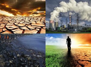 Çevre Sorunlarının Çözümünde Biyolojinin Katkıları