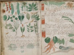 Dünyanın En Gizemli Kitabı: Voynich El Yazması