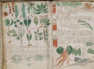 Dünyanın En Gizemli Kitabı: Voynich El Yazması