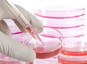 Hücre Çalışmalarının İnsan Yaşamı İçı̇n Önemi