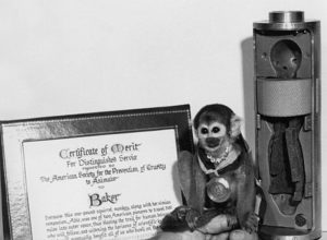 Uzaydan Dönen İlk Canlılar