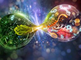 Biyolojinin Tarihsel Gelişim Sürecine Katkı Sağlayan Uygarlıklar