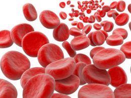 Kanı Temizleyen 10 Besin Kaynağı