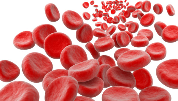 Kanı Temizleyen 10 Besin Kaynağı