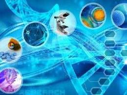 Biyoteknoloji Nedir, Uygulama Alanları Nelerdir?