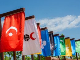 Tarihteki Türk İmparatorlukları ve Devletleri Tarihteki Türk İmparatorlukları ve Devletleri