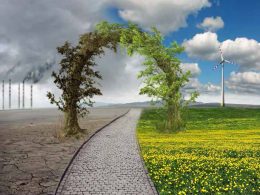 Ekosistemdeki Bozulmaların Çevreye Etkileri