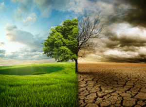 Küresel İklim Değişimiyle Nasıl Başa Çıkabiliriz