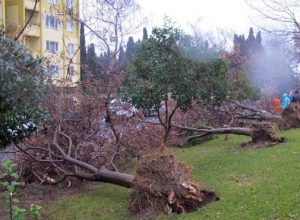 Şiddetli Rüzgar Ve Fırtınadan Korunma Yolları