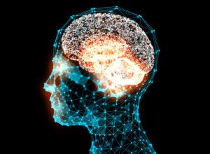 Zeka ve IQ Nedir, Nasıl Ölçülür?