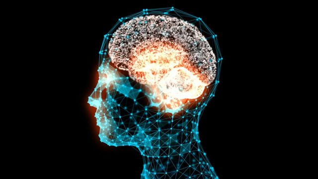 Zeka ve IQ Nedir, Nasıl Ölçülür?