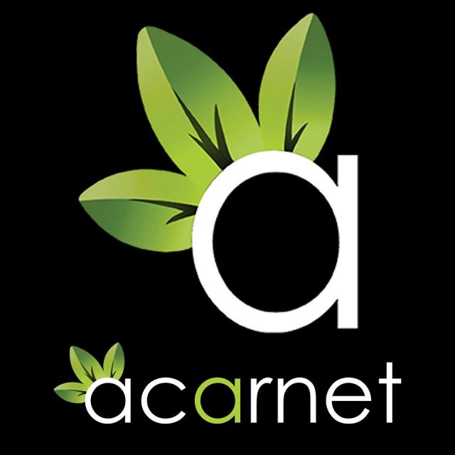 Acarnet Bilişim Web Yazılım Çalışmalarıyla Firmalara Güç Veriyor