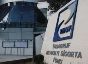 Tasarruf Mevduatı Sigorta Fonu (TMSF) Nedir, Görevleri Nelerdir?