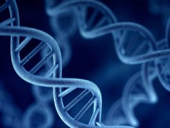 Epigenetik Nedir?