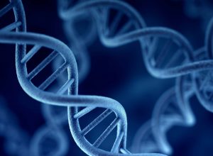 Epigenetik Nedir?