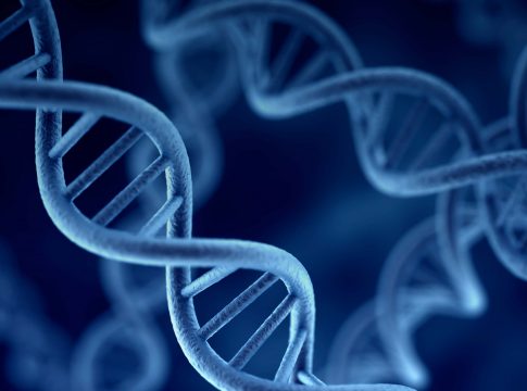 Epigenetik Nedir?