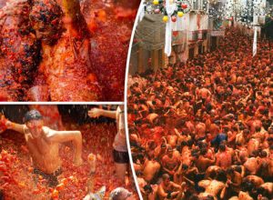 La Tomatina Festivali