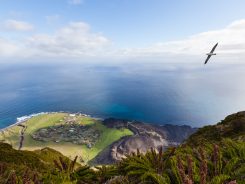 Dünyanın Sonundaki Ada: Tristan Da Cunha