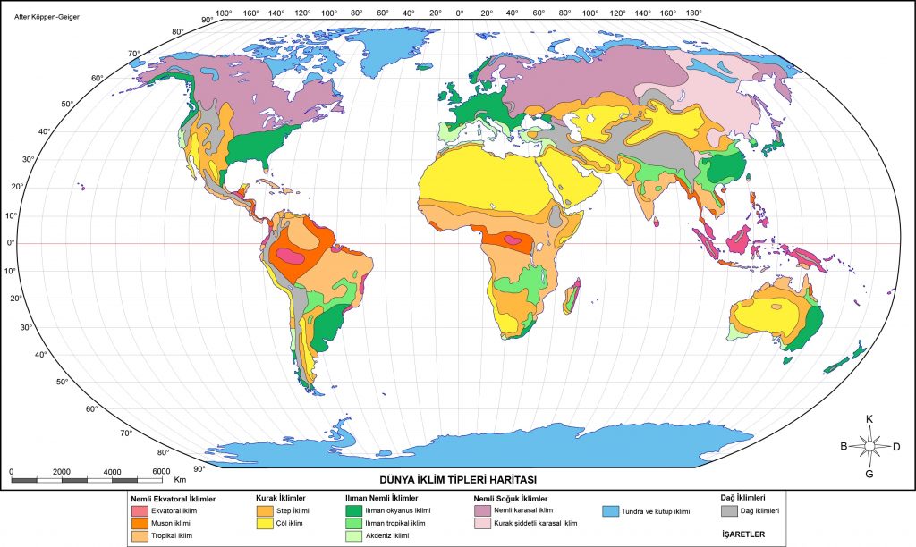 Dünya İklim Tipleri Haritası