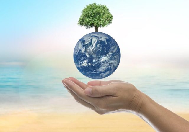 Çevre Sorunlarını Önlemede Bireye Düşen Görevler