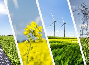 Yenilenebilir Enerji, Dünya Enerji İhtiyacının %100'ünü Karşılayabilir mi?