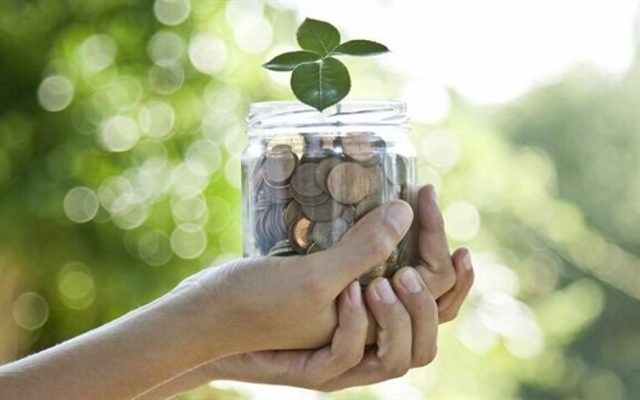 Merak Edilen Yönleriyle BES Nedir?