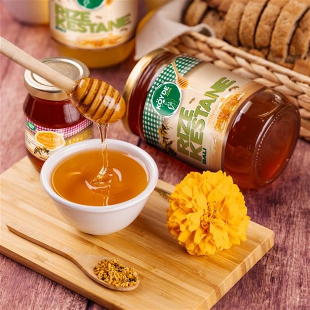 Kestane balı hangi illerde üretilir?