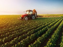 Dünyanın En Fazla Tarım Ürünü Üreten Ülkeleri