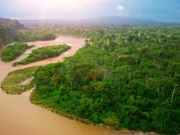 Dünyanın En İlginç Yağmur Ormanı Bölgelerine Sahip Ülkeleri