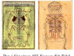 İbn-i Sina’nın Tıp Bilimine Katkıları