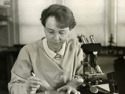 Barbara McClintock ve Genetikte Mobil Elementler Teorisi